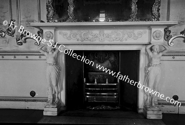 BALLYFIN HOUSE FIREPLACE IN BALLROOM